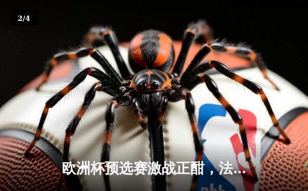 欧洲杯预选赛激战正酣，法国队3-1逆转爱尔兰豪取四连胜 - 2