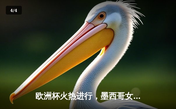 欧洲杯火热进行，墨西哥女足联赛激战正酣，双线观赛指南 - 4